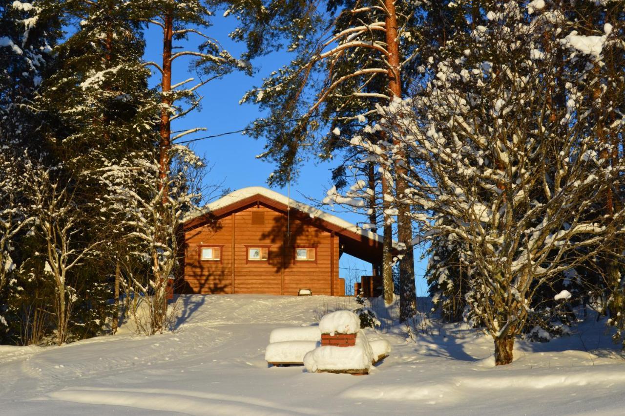 Rinnepelto Holiday Cottages Tahkovuori Kültér fotó
